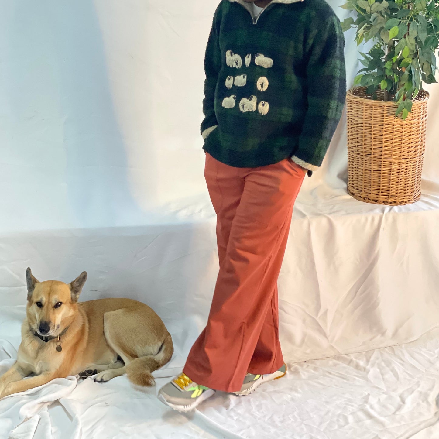 Dog lays next to a model wearing rust coloured pants with a wool plaid jersey against a white backdrop.