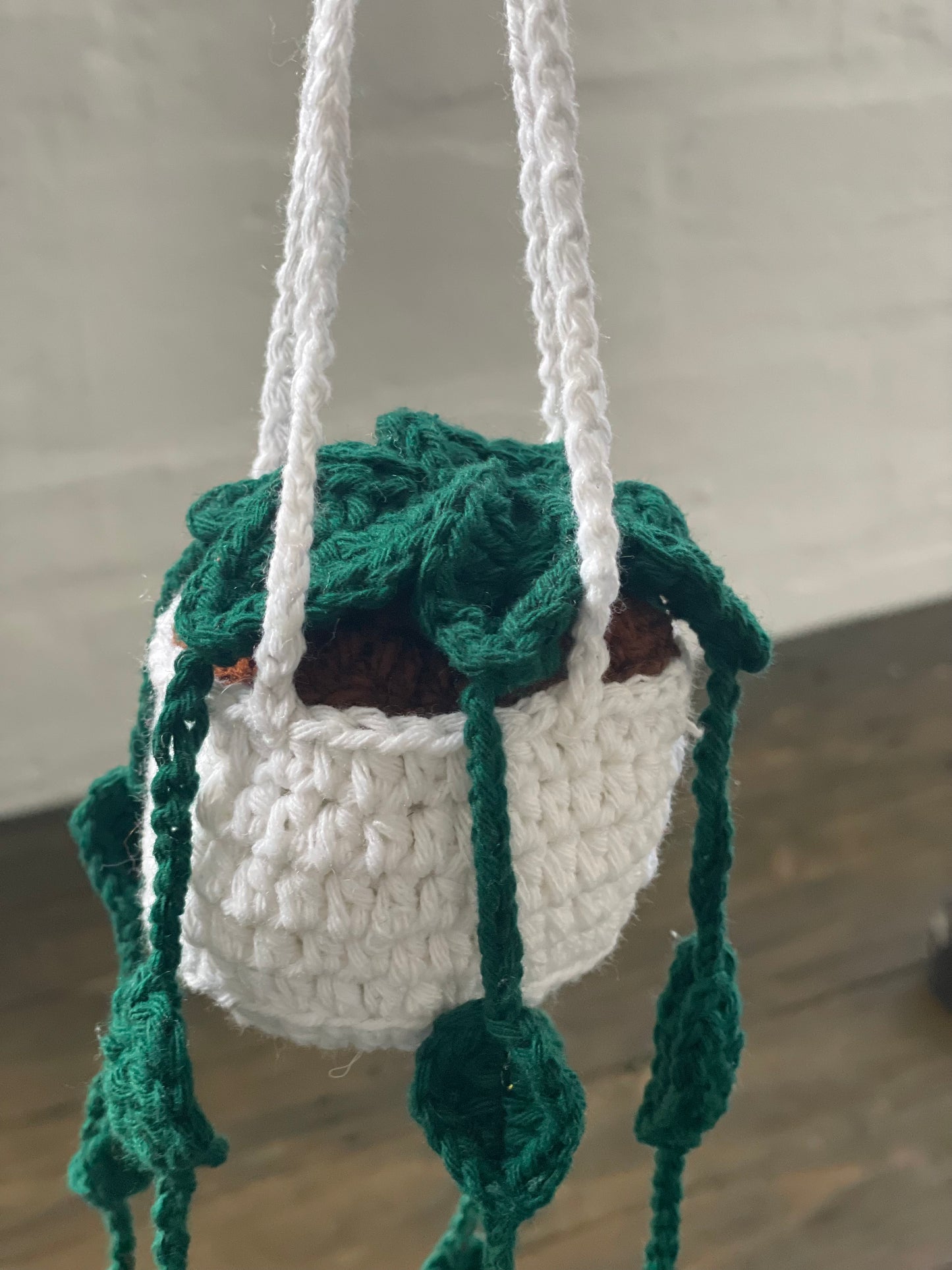 Pot Plant Car Danglies