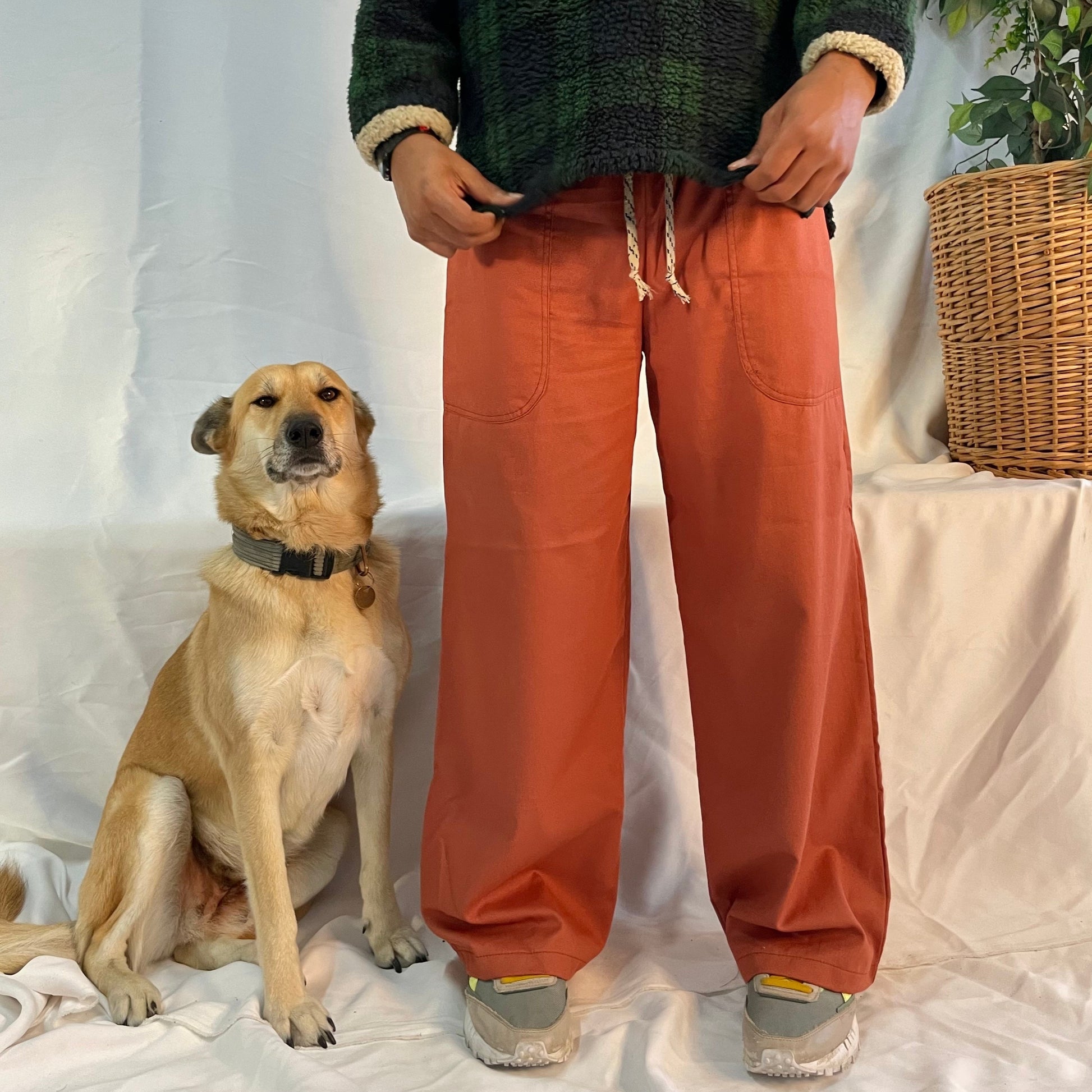 Dog sits next to a model wearing rust coloured pants with a wool plaid jersey against a white backdrop.