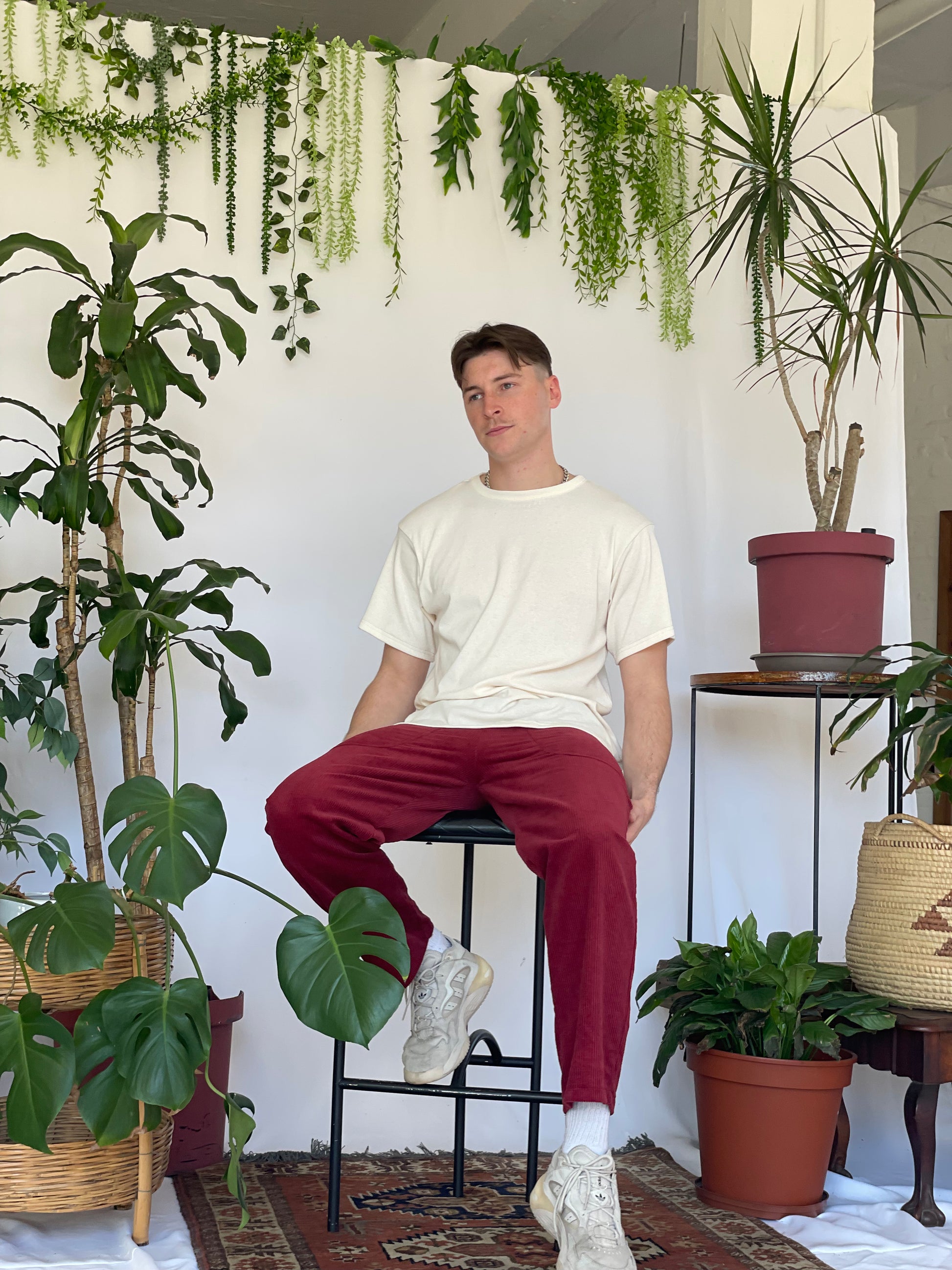 Model wears a cream t-shirt with burgundy corduroy pants and sneakers with their hands in pockets. The model is sitting on a stool against a white backdrop with plants and hanging foliage.